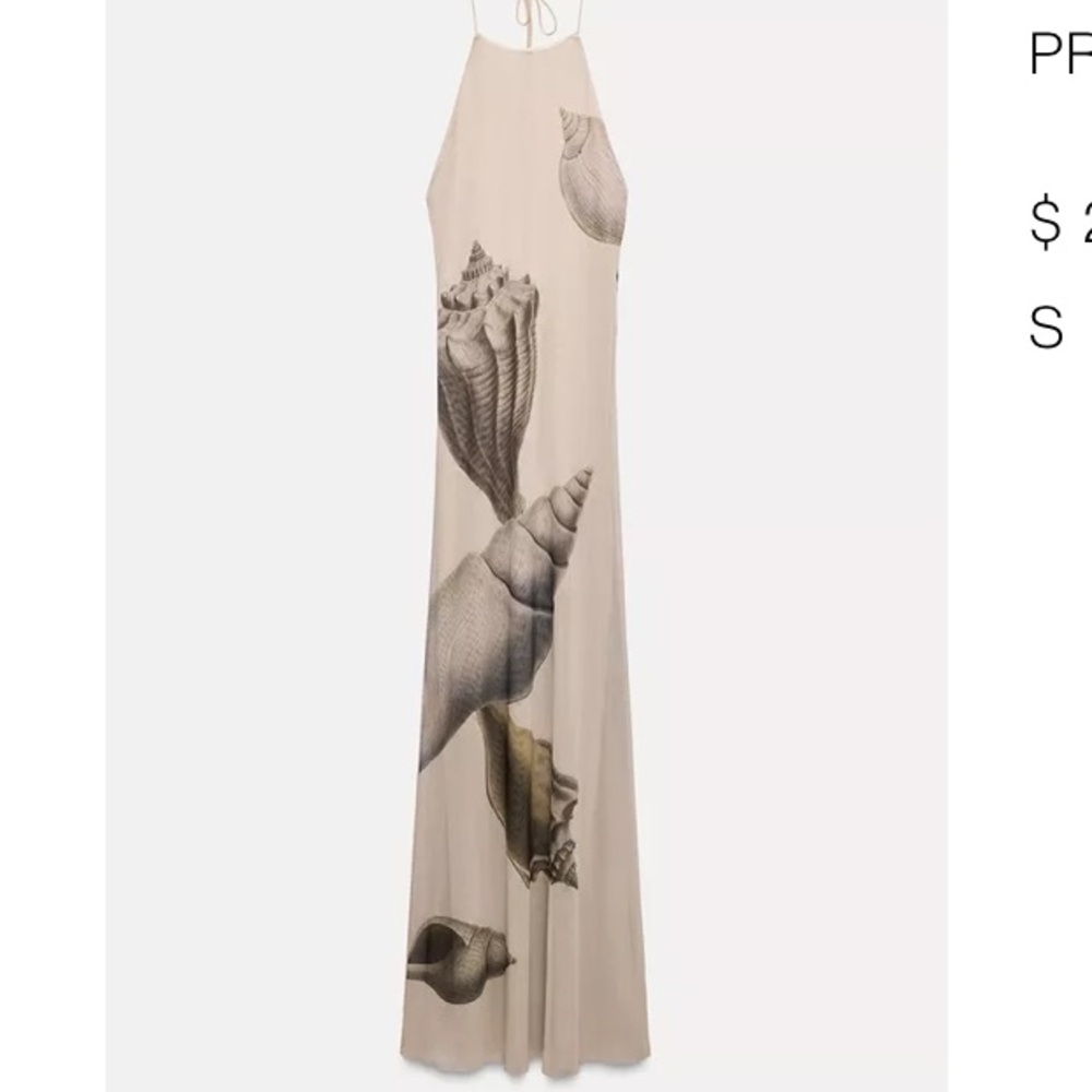 Zara Beige Maxi Dress with Shell Print